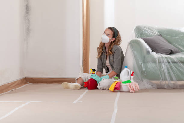 Reliable Mold Remediation contractor in Vine Grove, KY by WQB Mold Removal